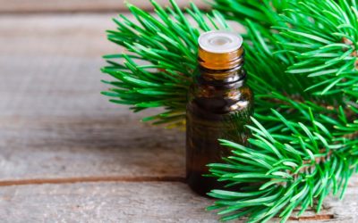 10 Important Essential Oils to Have On Hand