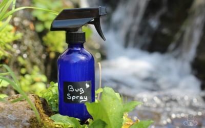 DIY Bug Spray